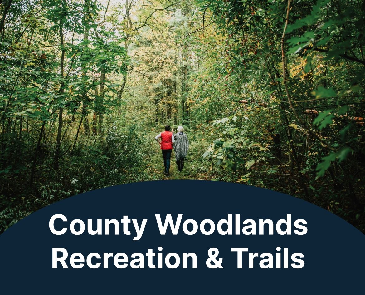 Forestry 1200x800 Callouts - Trails