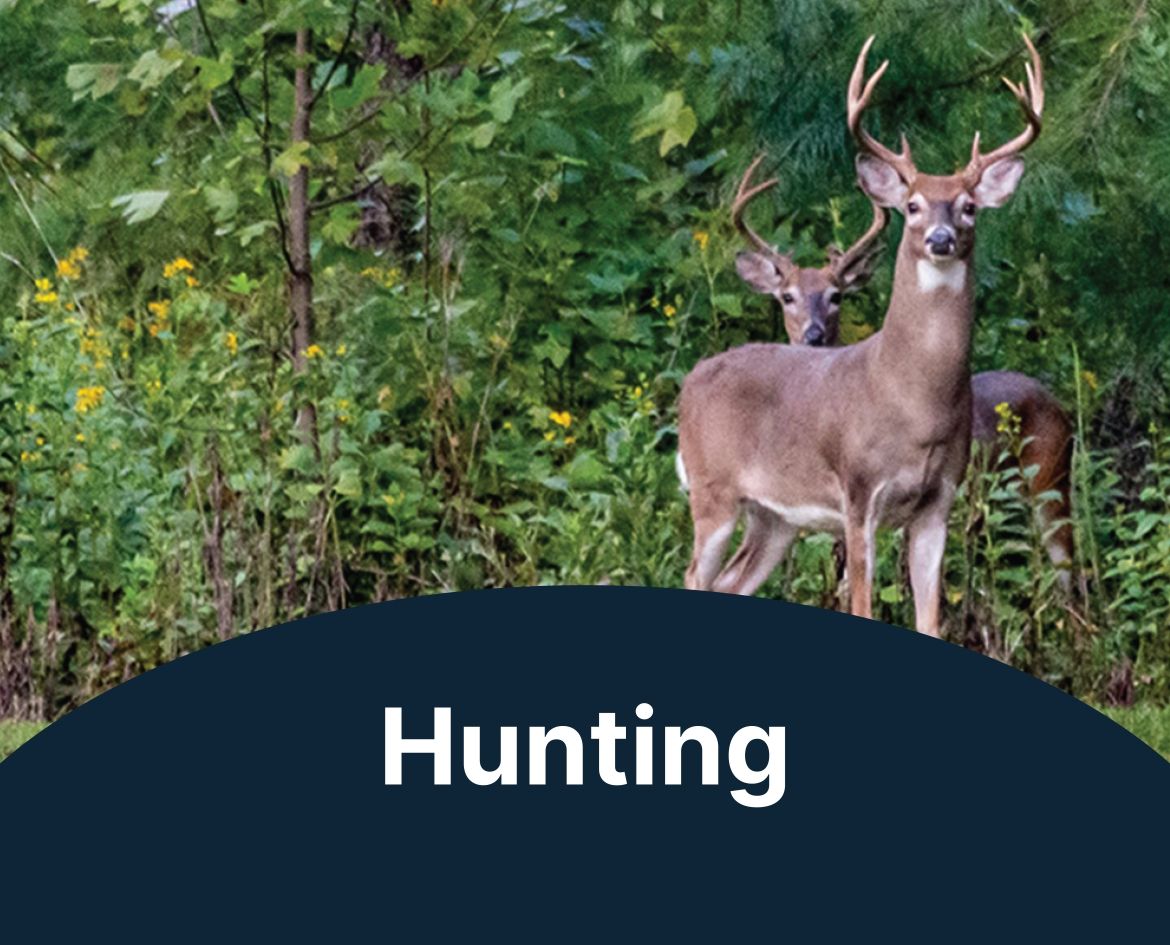 Forestry 1200x800 Callouts - Hunting