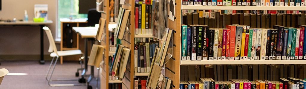 shelves full of books