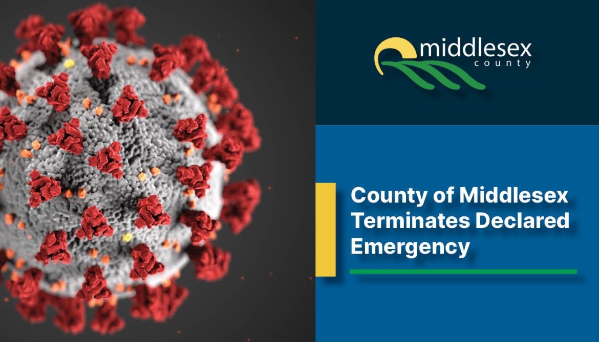 Graphic of Covid 19 virus