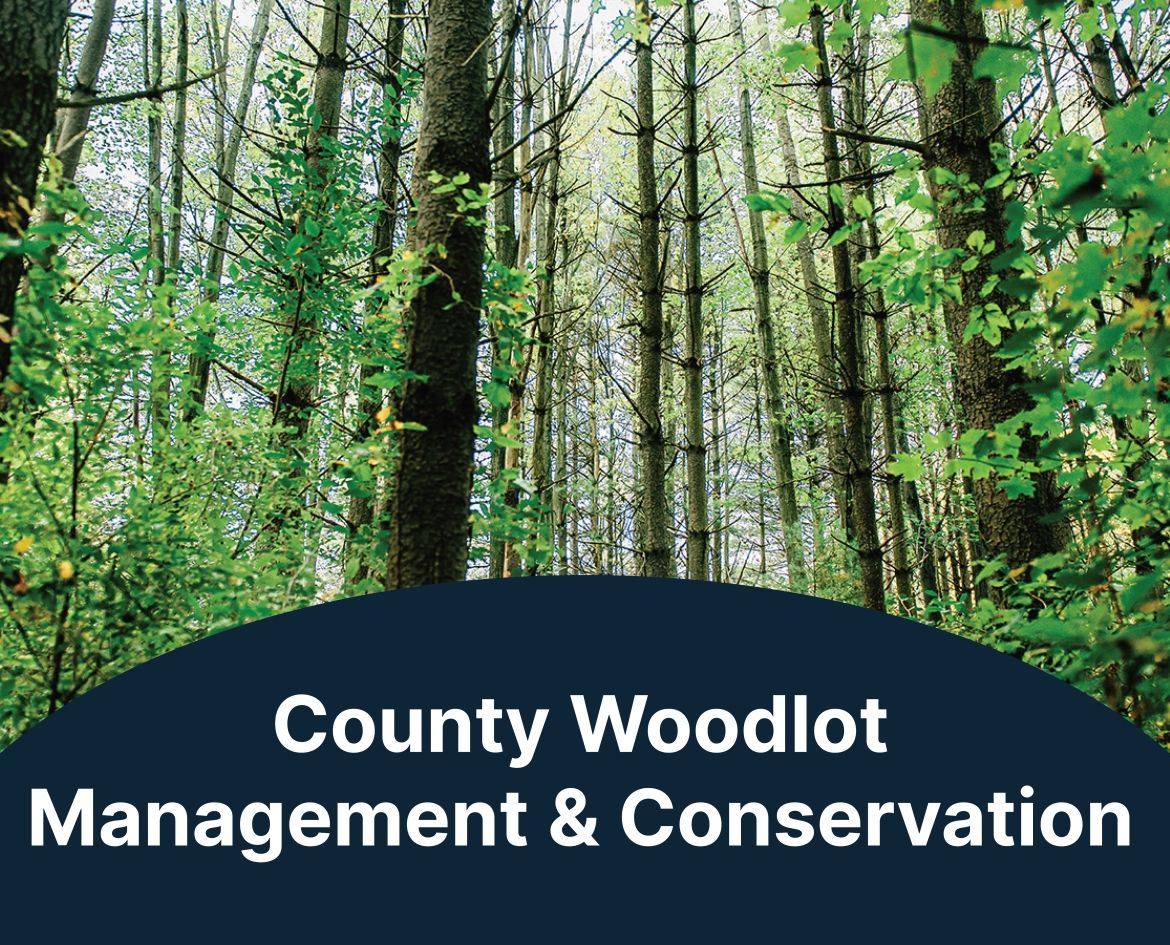 Management & Conservation