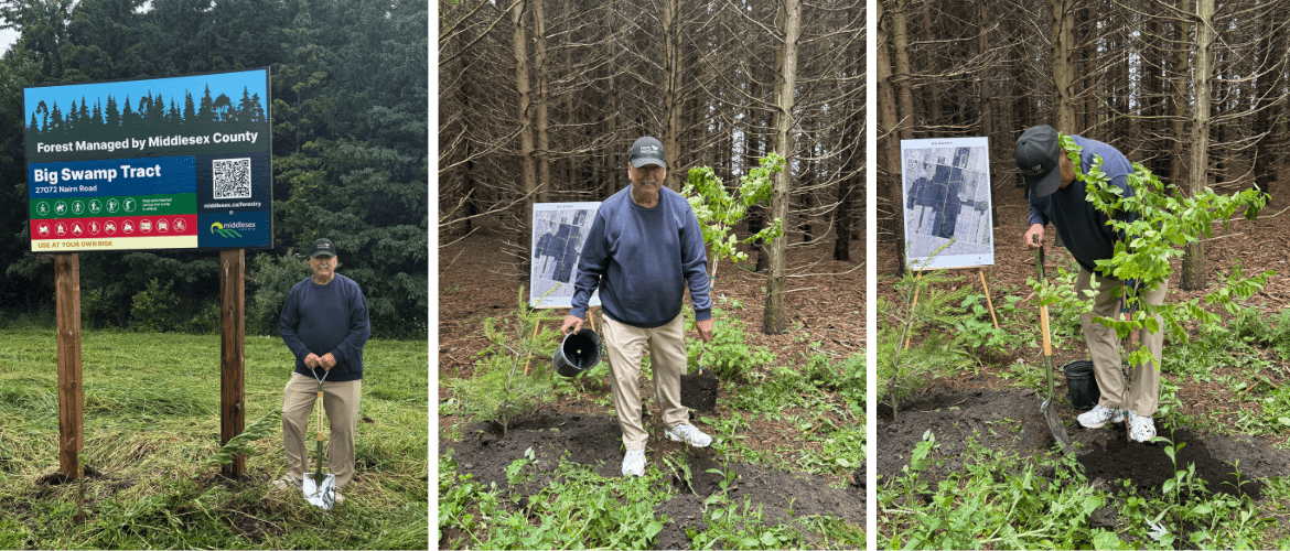Three image collage showing the Warden standing next to a sign advertising the Big Swamp Tract, him holding a tree plant, and finally him placing the tree into a freshly dug hole